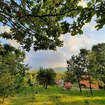 у романа