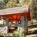 Lodge у романа