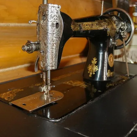 Lodge у романа