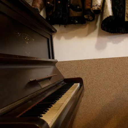 у романа Lodge