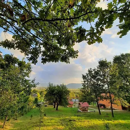 у романа
