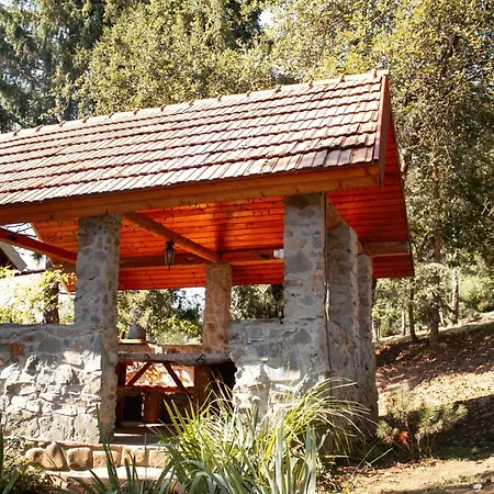 Lodge у романа