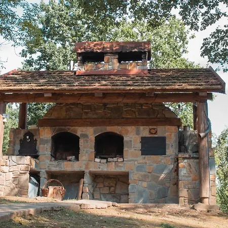 у романа Lodge