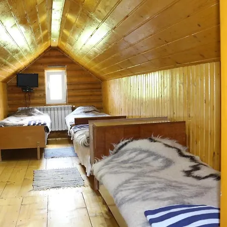 у романа * Verkhneye Sinevidnoye