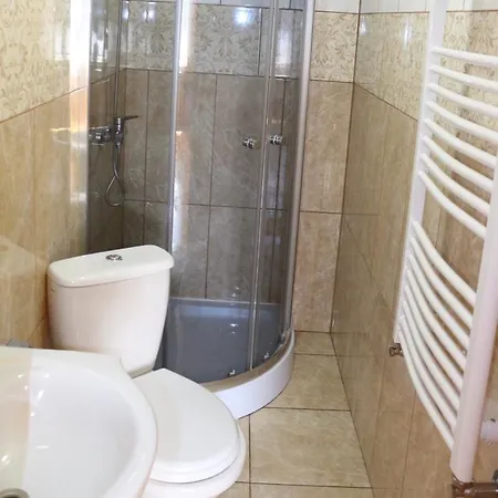 у романа Verkhneye Sinevidnoye