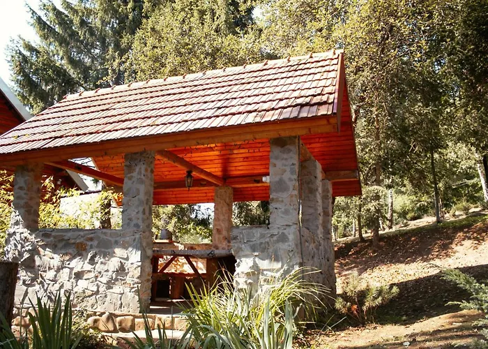 Lodge у романа
