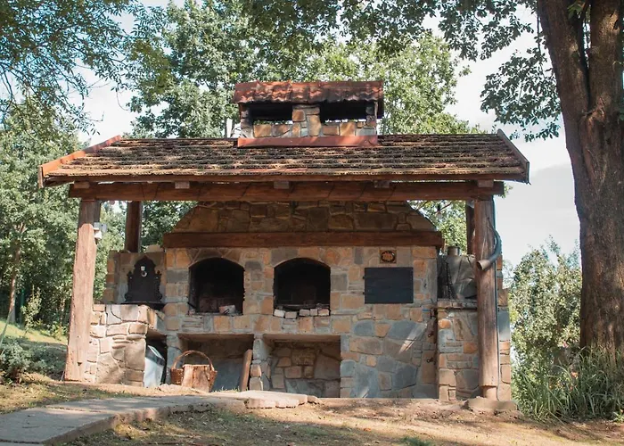 у романа Lodge