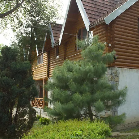 у романа * Verkhneye Sinevidnoye